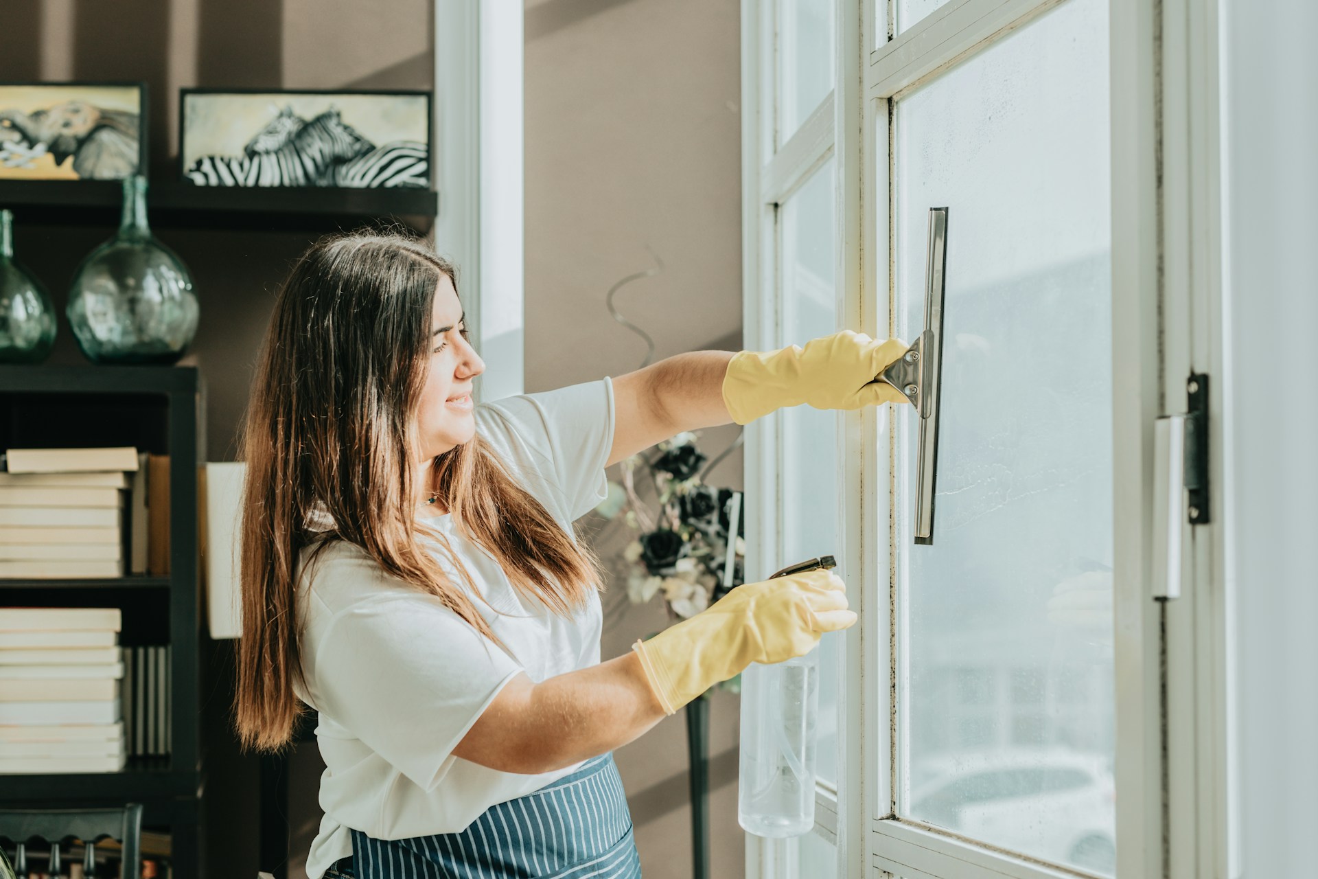 Professional Window Cleaning