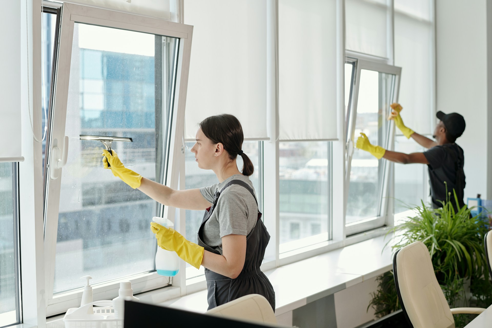 Commercial Window Cleaning