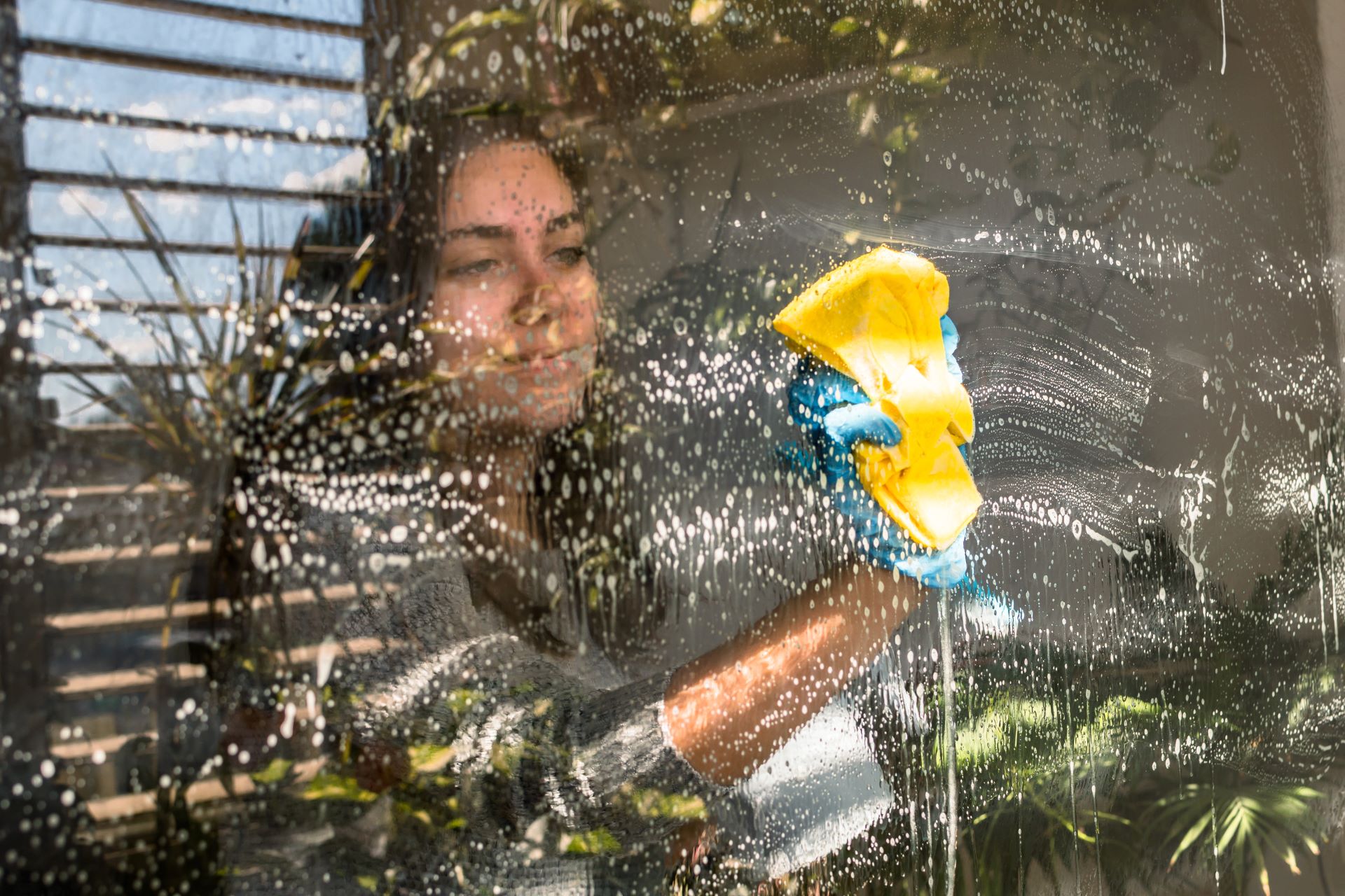 Regular Window Cleaning